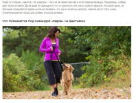 Как научить собаку команде "рядом"