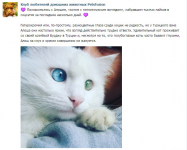 Работа 2820216