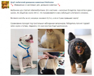 Работа 2820215