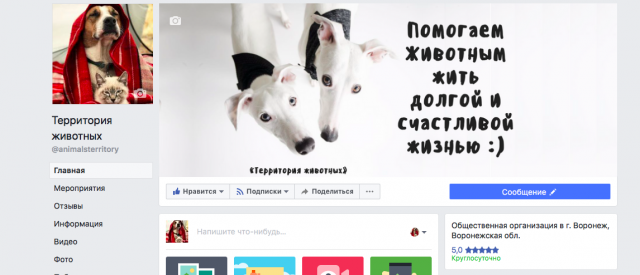 Контент для социальных сетей сервиса