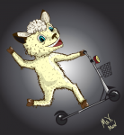 Sheep