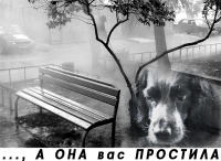 Соц. реклама