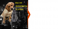 Соц. реклама.