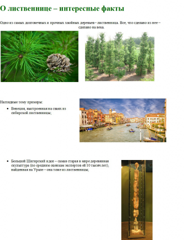 доклад о лиственнице