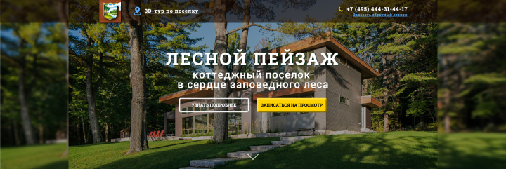 Лесной пейзаж