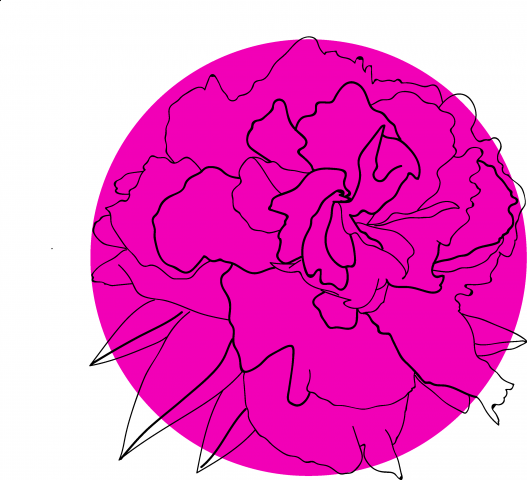 Стилизация пиона3