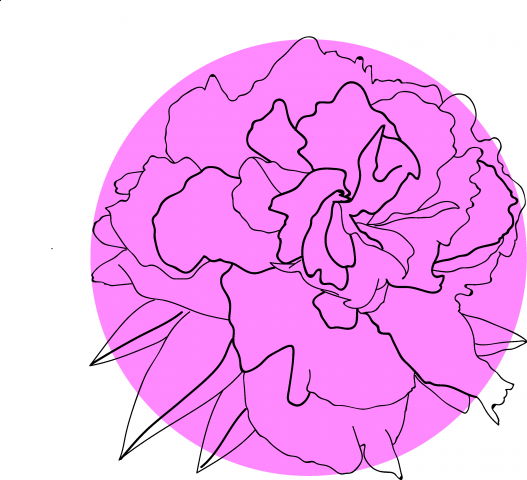 Стилизация пиона2