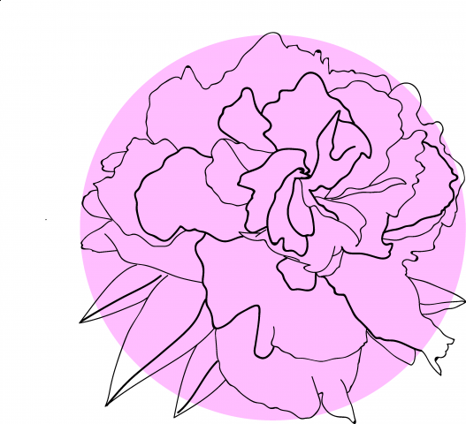 Стилизация пиона1