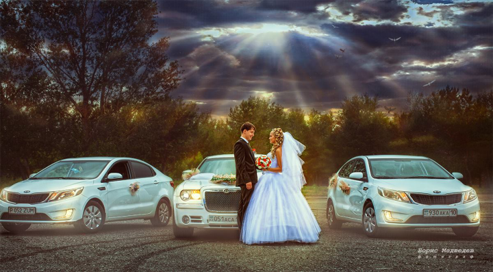 свадебная прогулка - стиль (Картина маслом) печать на холсте