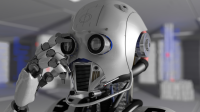 Robo