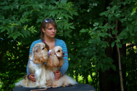 Работа 3122408