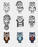 Owl