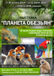 Работа 2202529