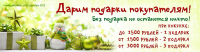 Работа 1703127