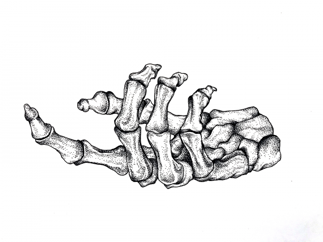 Работа 3698536