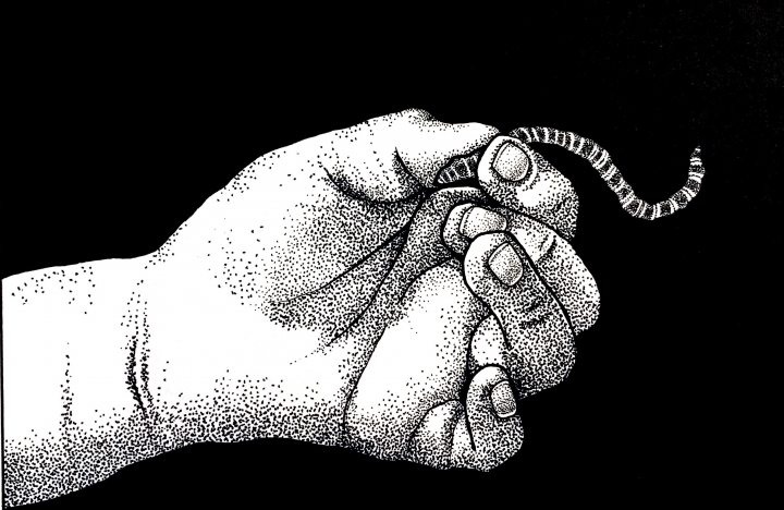 Работа 3698532