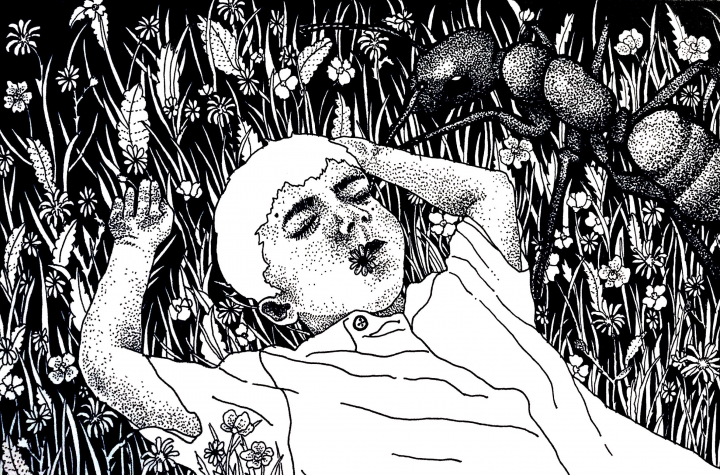 Работа 3698526