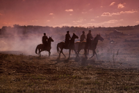 Казаки на лошадях (реконструкция)