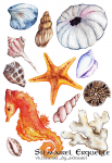 Sea life