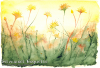 Sunny dandelions