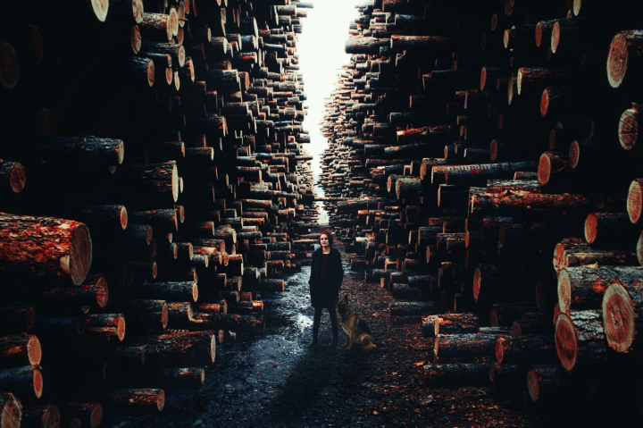 Работа 3631633