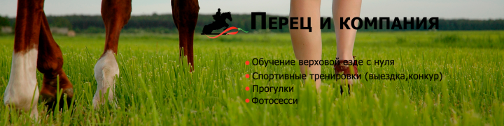 Группа "Перец и компания"