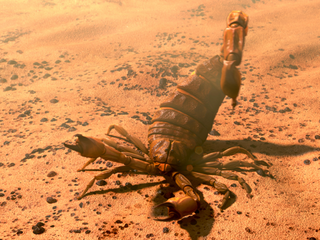 Scorpion