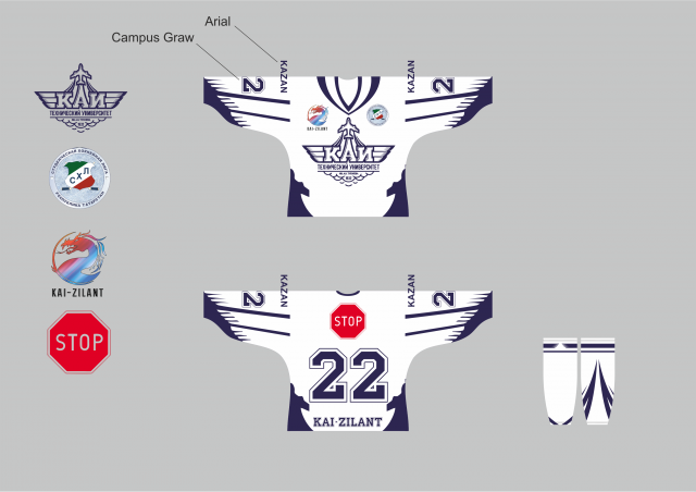 Форма для хк