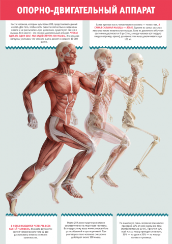 Инфографика