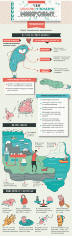 Инфографика