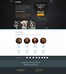 Календарь «Кто сказал „Мяу“?»