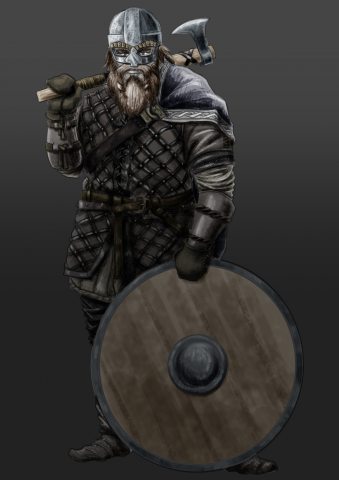 A viking (a job test)