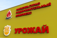 физкультурно оздоровительный комплекс комплекс с. Починки