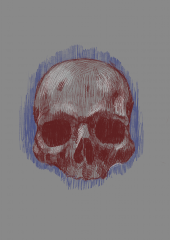 skull