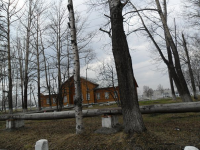 Среди деревьев