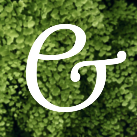 Ampersand