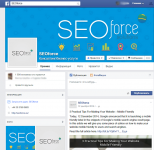 Ведение Фейсбук страницы SEOforce