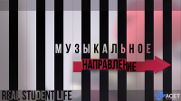 Работа 3004368
