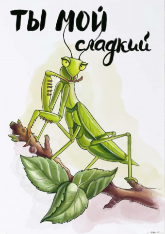 Открытка богомол