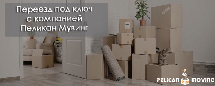 Баннер для компании «Пеликан»