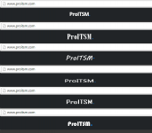 "text logo" www.proitsm.com