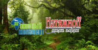 Оконный континент