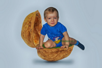фотоколлаж "Орех"