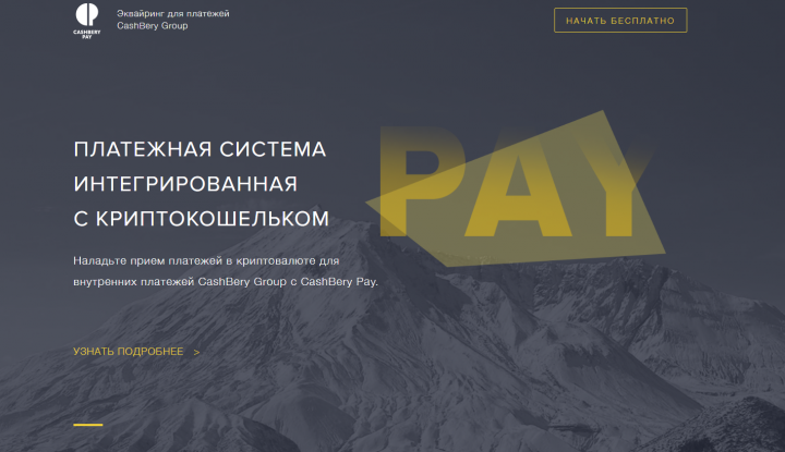 Платежная система  интегрированная с криптокошельком