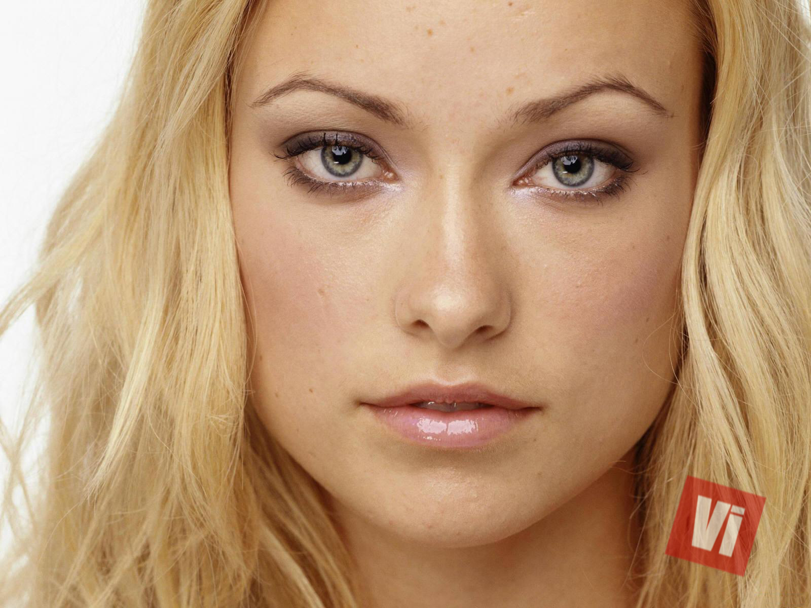 pic1671952.jpg