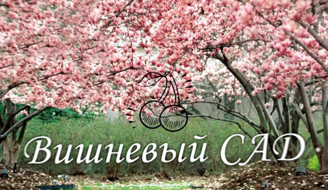 Конкурсная работа