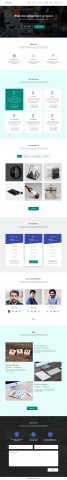 Web development project