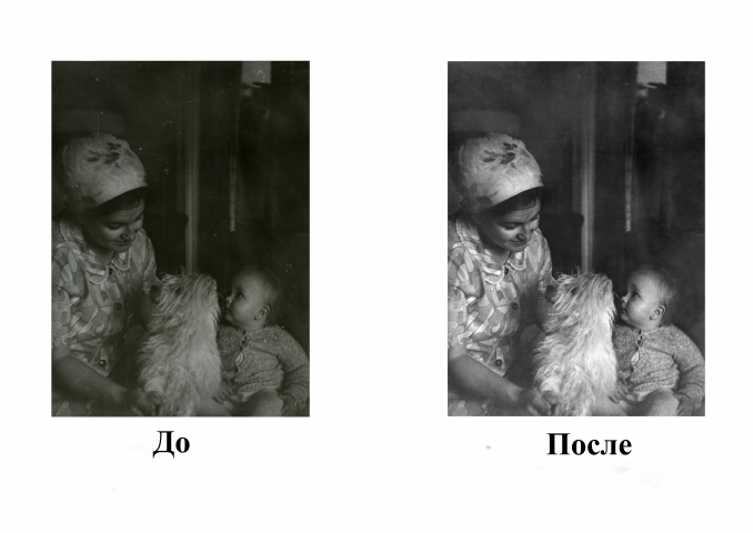 Работа 3673228