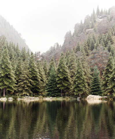 alone_with_nature