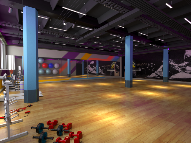 Проект 056 Фитнес клуб Элис